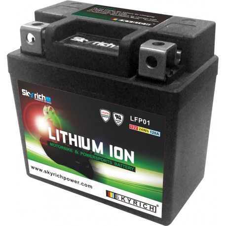 BATTERIE LITHIUM SKYRICH LFP01 / LTKTM04L